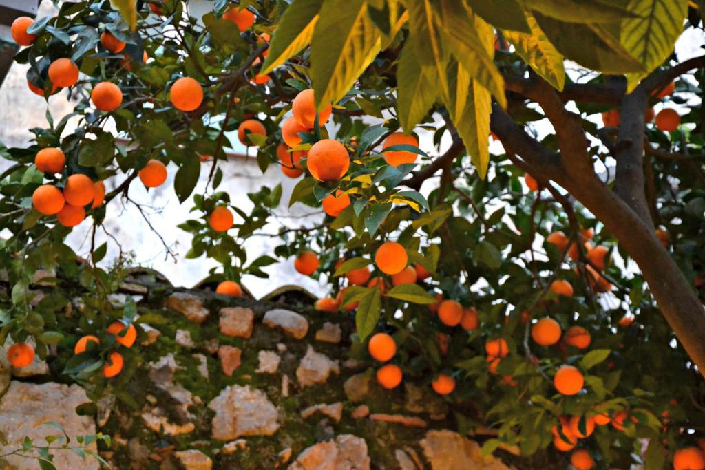 Giardino Del Sole Daire Taormina Dış mekan fotoğraf